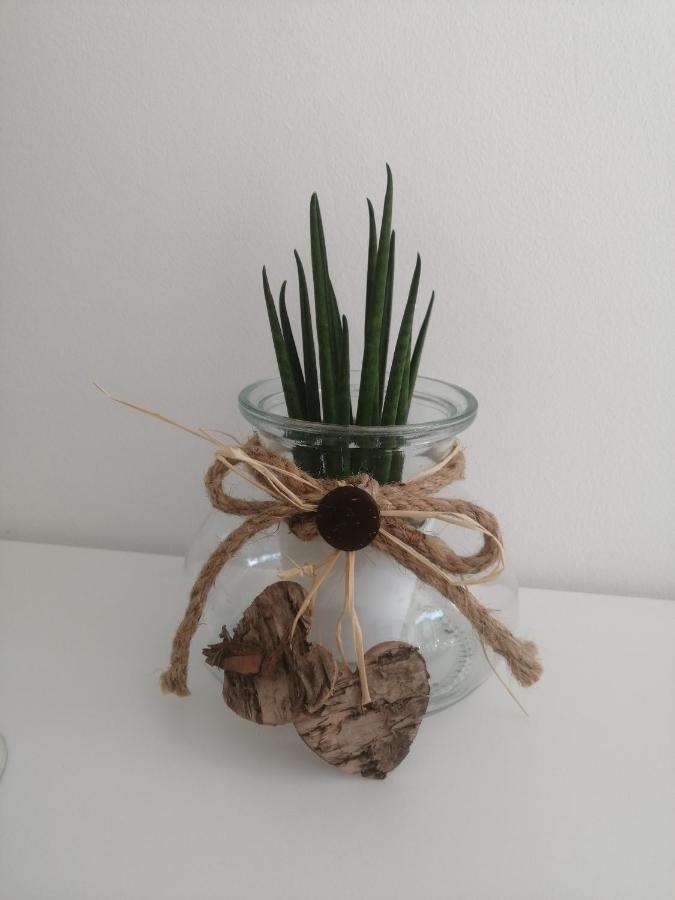 Apartma Pinea 포르토로즈 외부 사진